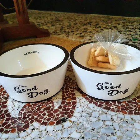 ベッド・アンド・ブレックファスト Gelsomino Exclusive House Adult Only 4*